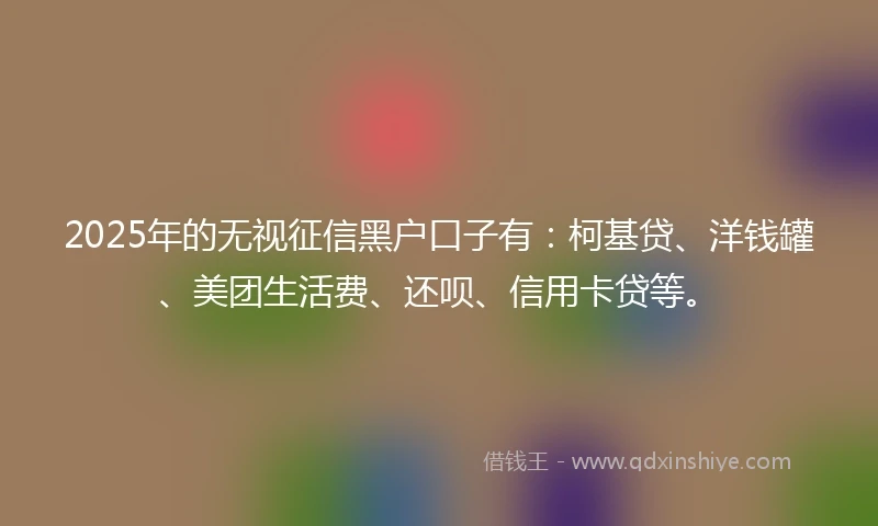 2025年的无视征信黑户口子有：柯基贷、洋钱罐、美团生活费、还呗、信用卡贷等。