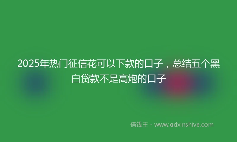 2025年热门征信花可以下款的口子,总结五个黑白贷款不是高炮的口子