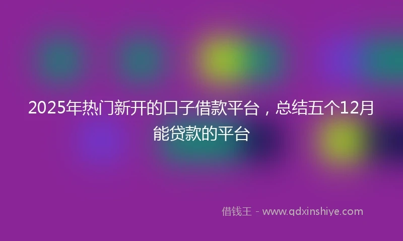 2025年热门新开的口子借款平台，总结五个12月能贷款的平台