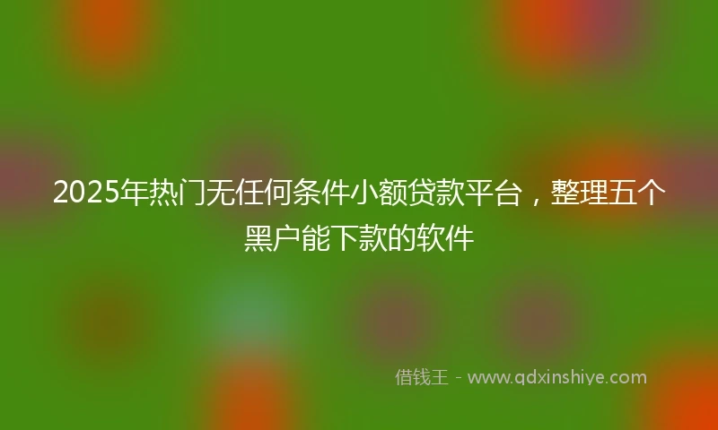 2025年热门无任何条件小额贷款平台，整理五个黑户能下款的软件