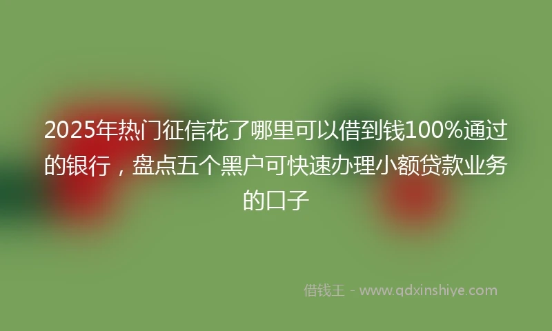 2025年热门征信花了哪里可以借到钱100%通过的银行，盘点五个黑户可快速办理小额贷款业务的口子