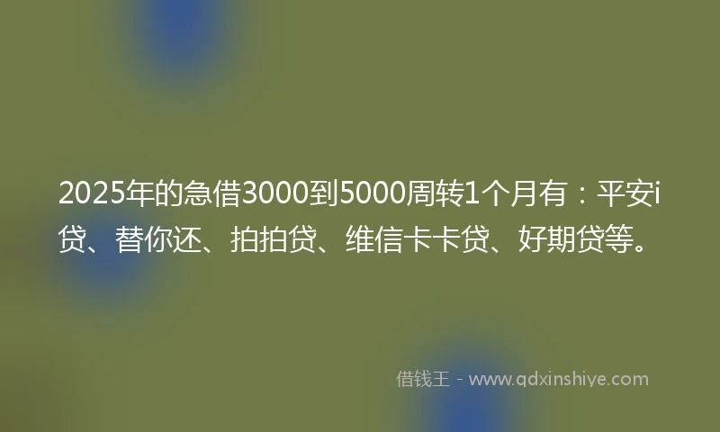 2025年的急借3000到5000周转1个月有：平安i贷、替你还、拍拍贷、维信卡卡贷、好期贷等。