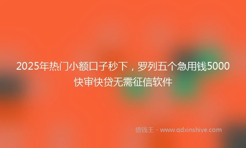 2025年热门小额口子秒下，罗列五个急用钱5000快审快贷无需征信软件