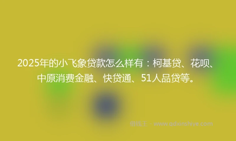 2025年的小飞象贷款怎么样有：柯基贷、花呗、中原消费金融、快贷通、51人品贷等。