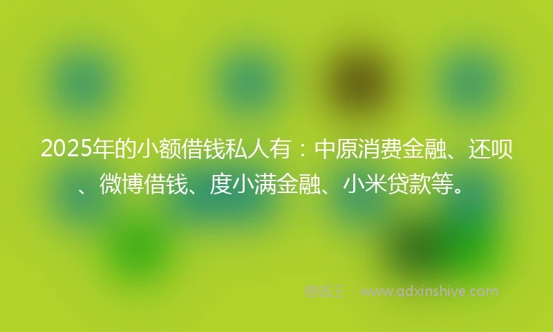2025年的小额借钱私人有：中原消费金融、还呗、微博借钱、度小满金融、小米贷款等。