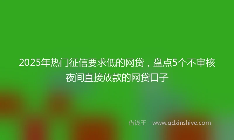 2025年热门征信要求低的网贷,盘点5个不审核夜间直接放款的网贷口子