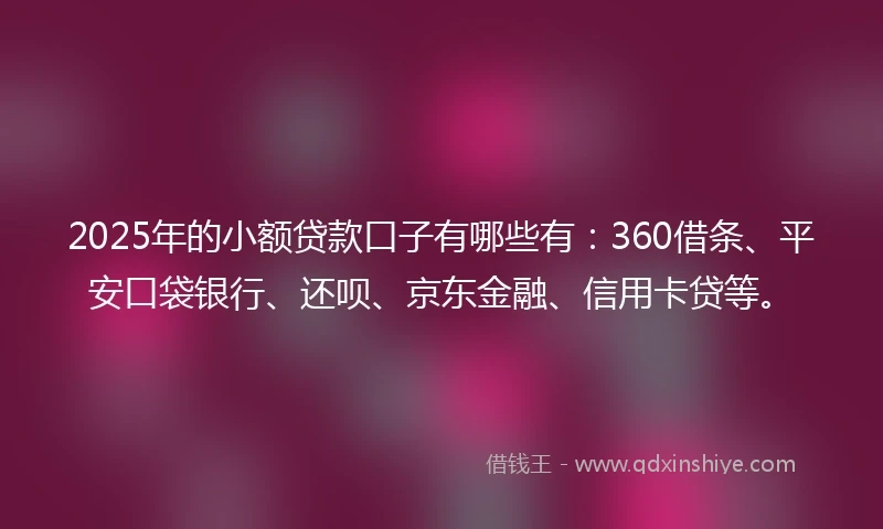2025年的小额贷款口子有哪些有：360借条、平安口袋银行、还呗、京东金融、信用卡贷等。