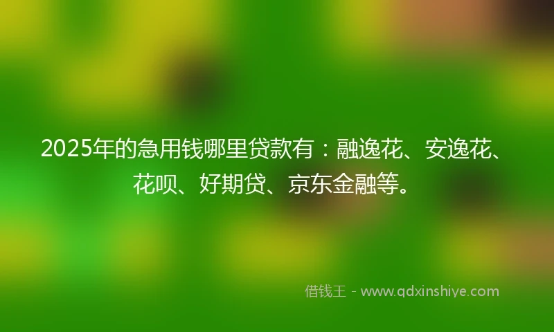 2025年的急用钱哪里贷款有：融逸花、安逸花、花呗、好期贷、京东金融等。