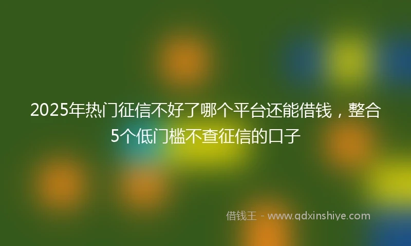 2025年热门征信不好了哪个平台还能借钱，整合5个低门槛不查征信的口子