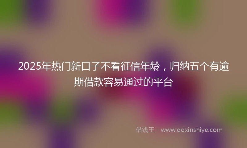 2025年热门新口子不看征信年龄，归纳五个有逾期借款容易通过的平台