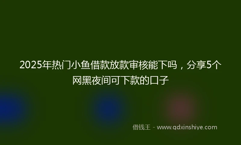2025年热门小鱼借款放款审核能下吗，分享5个网黑夜间可下款的口子