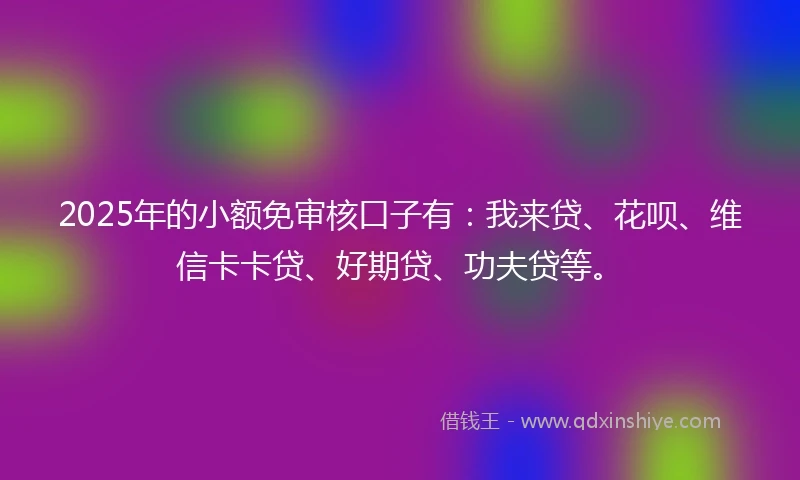 2025年的小额免审核口子有：我来贷、花呗、维信卡卡贷、好期贷、功夫贷等。