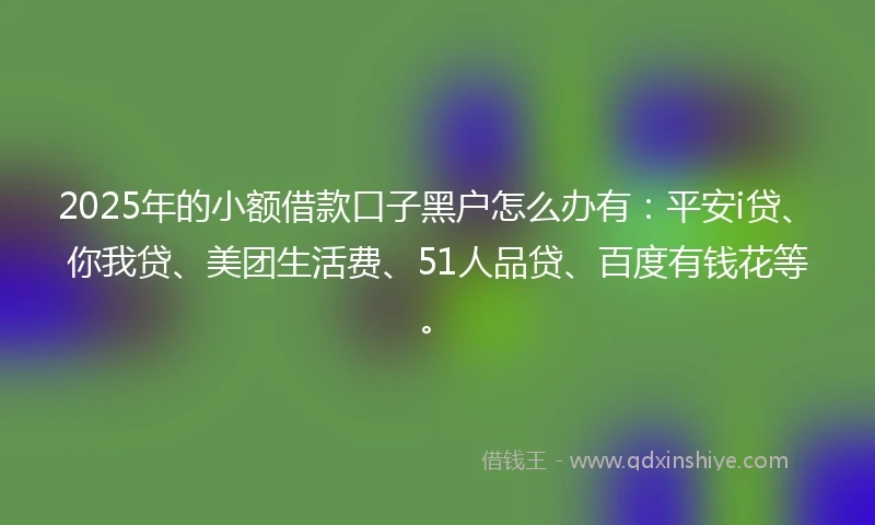2025年的小额借款口子黑户怎么办有：平安i贷、你我贷、美团生活费、51人品贷、百度有钱花等。