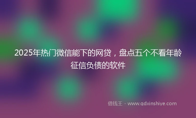 2025年热门微信能下的网贷，盘点五个不看年龄征信负债的软件
