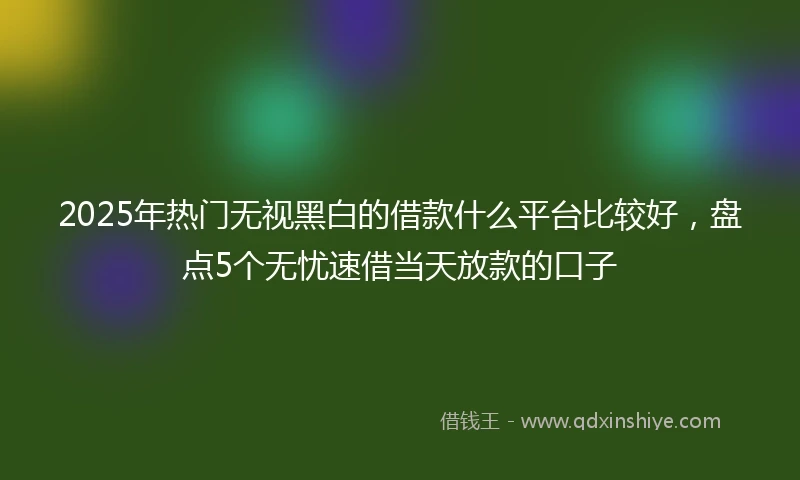 2025年热门无视黑白的借款什么平台比较好，盘点5个无忧速借当天放款的口子