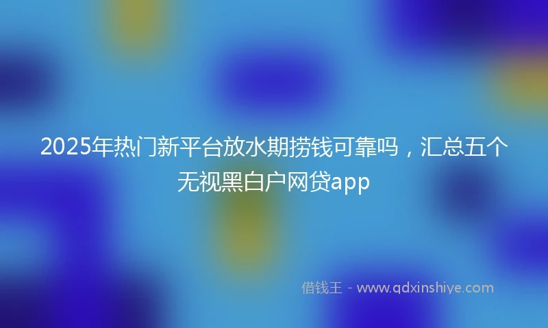 2025年热门新平台放水期捞钱可靠吗，汇总五个无视黑白户网贷app