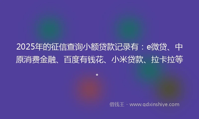 2025年的征信查询小额贷款记录有：e微贷、中原消费金融、百度有钱花、小米贷款、拉卡拉等。