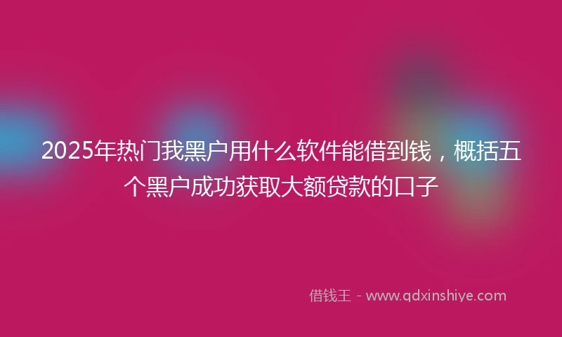 2025年热门我黑户用什么软件能借到钱，概括五个黑户成功获取大额贷款的口子