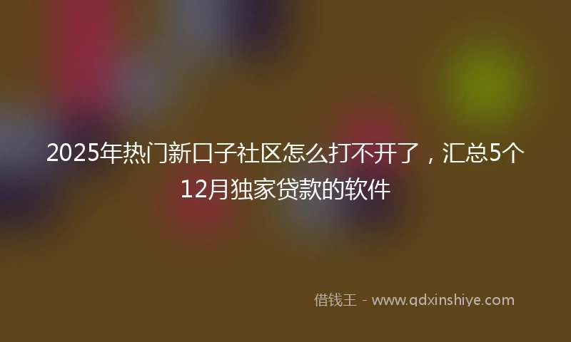 2025年热门新口子社区怎么打不开了，汇总5个12月独家贷款的软件