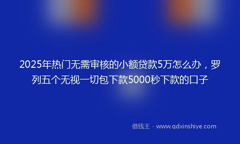 2025年热门无需审核的小额贷款5万怎么办，罗列五个无视一切包下款5000秒下款的口子