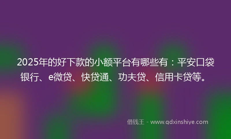 2025年的好下款的小额平台有哪些有：平安口袋银行、e微贷、快贷通、功夫贷、信用卡贷等。