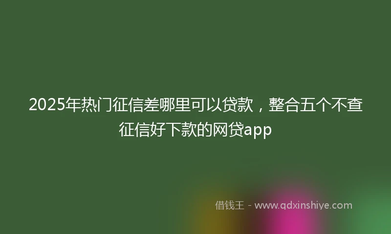 2025年热门征信差哪里可以贷款，整合五个不查征信好下款的网贷app