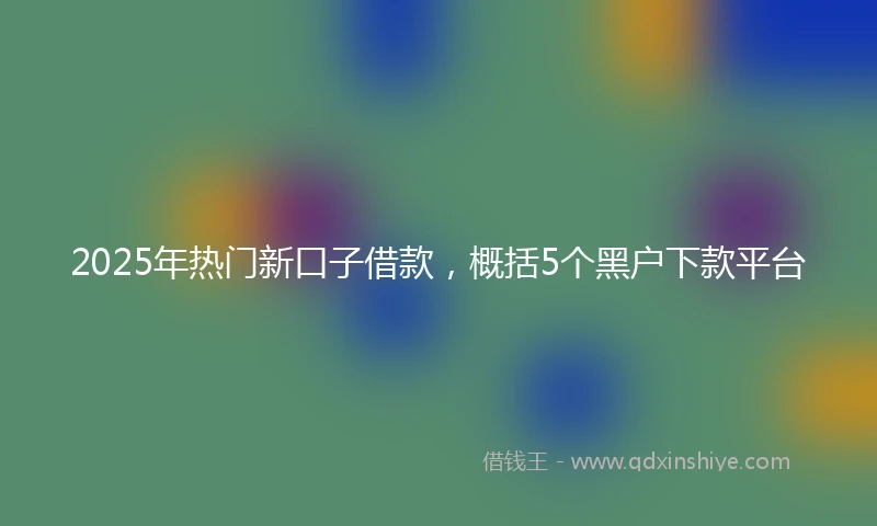 2025年热门新口子借款，概括5个黑户下款平台
