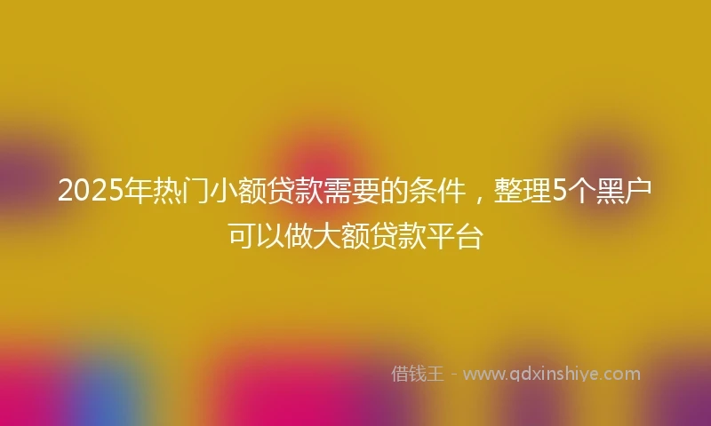 2025年热门小额贷款需要的条件，整理5个黑户可以做大额贷款平台