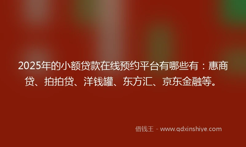 2025年的小额贷款在线预约平台有哪些有：惠商贷、拍拍贷、洋钱罐、东方汇、京东金融等。