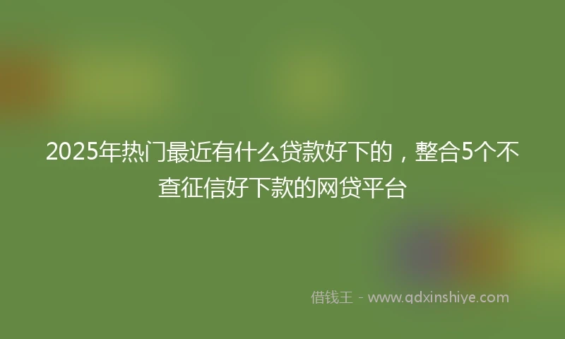 2025年热门最近有什么贷款好下的，整合5个不查征信好下款的网贷平台