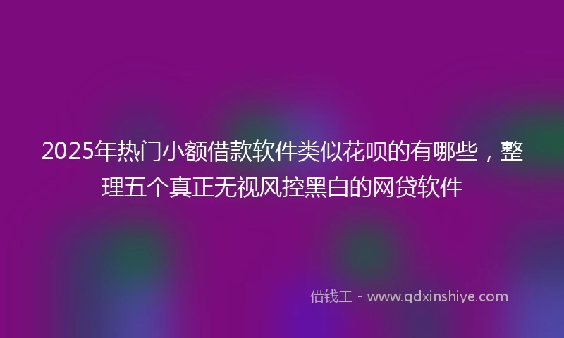 2025年热门小额借款软件类似花呗的有哪些，整理五个真正无视风控黑白的网贷软件