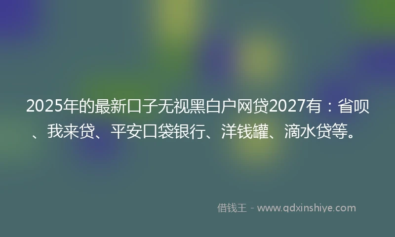 2025年的最新口子无视黑白户网贷2027有：省呗、我来贷、平安口袋银行、洋钱罐、滴水贷等。