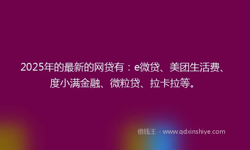 2025年的最新的网贷有：e微贷、美团生活费、度小满金融、微粒贷、拉卡拉等。