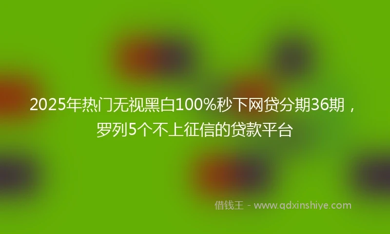 2025年热门无视黑白100%秒下网贷分期36期，罗列5个不上征信的贷款平台