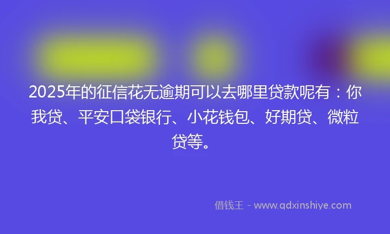 2025年的征信花无逾期可以去哪里贷款呢有：你我贷、平安口袋银行、小花钱包、好期贷、微粒贷等。