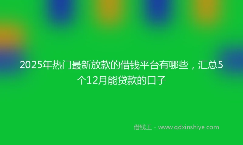 2025年热门最新放款的借钱平台有哪些，汇总5个12月能贷款的口子