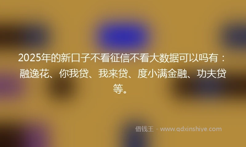 2025年的新口子不看征信不看大数据可以吗有：融逸花、你我贷、我来贷、度小满金融、功夫贷等。
