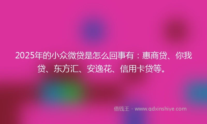 2025年的小众微贷是怎么回事有：惠商贷、你我贷、东方汇、安逸花、信用卡贷等。