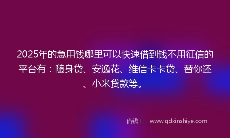 2025年的急用钱哪里可以快速借到钱不用征信的平台有：随身贷、安逸花、维信卡卡贷、替你还、小米贷款等。