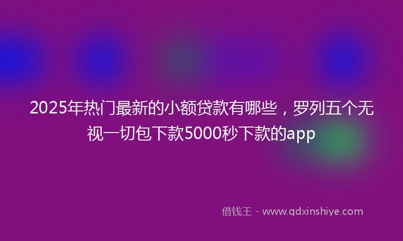 2025年热门最新的小额贷款有哪些，罗列五个无视一切包下款5000秒下款的app