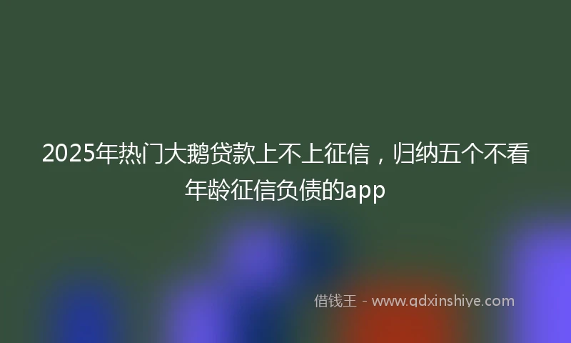 2025年热门大鹅贷款上不上征信，归纳五个不看年龄征信负债的app