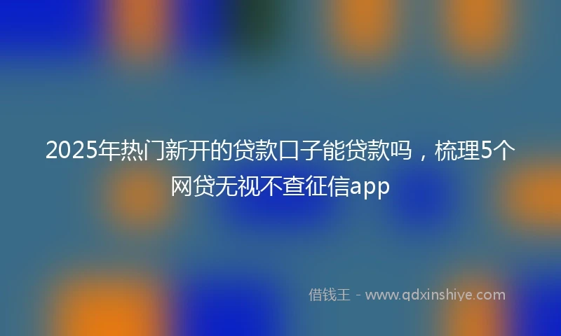 2025年热门新开的贷款口子能贷款吗，梳理5个网贷无视不查征信app