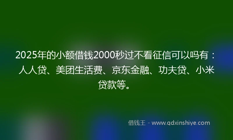 2025年的小额借钱2000秒过不看征信可以吗有：人人贷、美团生活费、京东金融、功夫贷、小米贷款等。