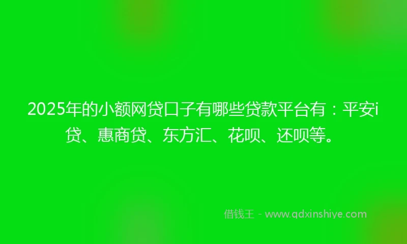 2025年的小额网贷口子有哪些贷款平台有：平安i贷、惠商贷、东方汇、花呗、还呗等。