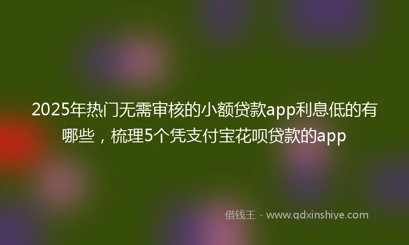 2025年热门无需审核的小额贷款app利息低的有哪些，梳理5个凭支付宝花呗贷款的app