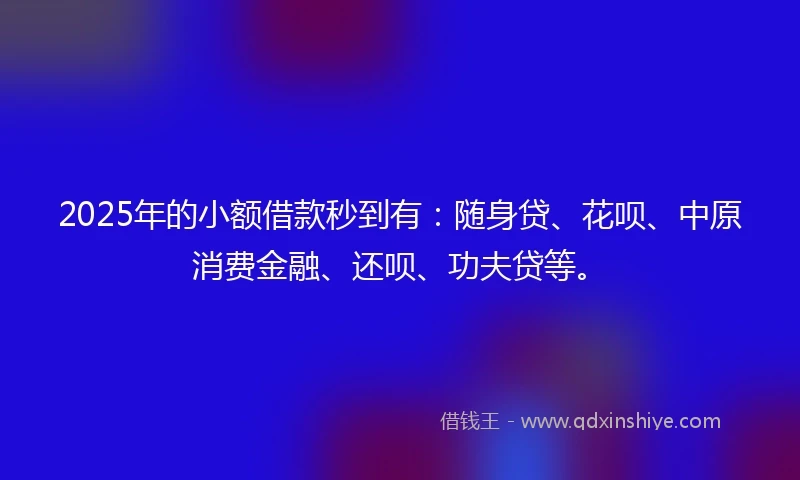 2025年的小额借款秒到有：随身贷、花呗、中原消费金融、还呗、功夫贷等。