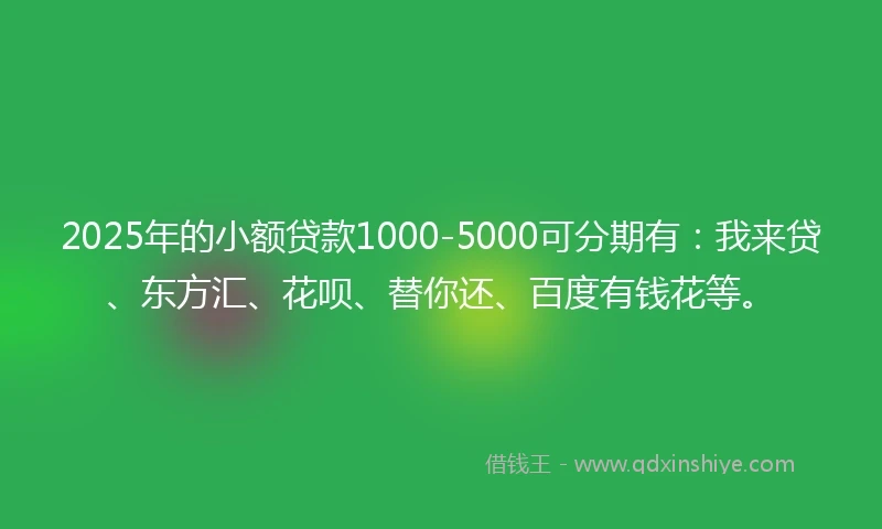 2025年的小额贷款1000-5000可分期有：我来贷、东方汇、花呗、替你还、百度有钱花等。