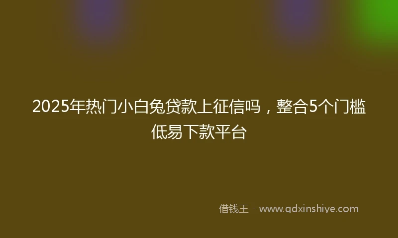 2025年热门小白兔贷款上征信吗，整合5个门槛低易下款平台