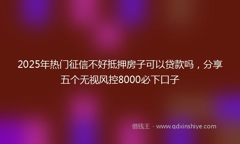 2025年热门征信不好抵押房子可以贷款吗，分享五个无视风控8000必下口子