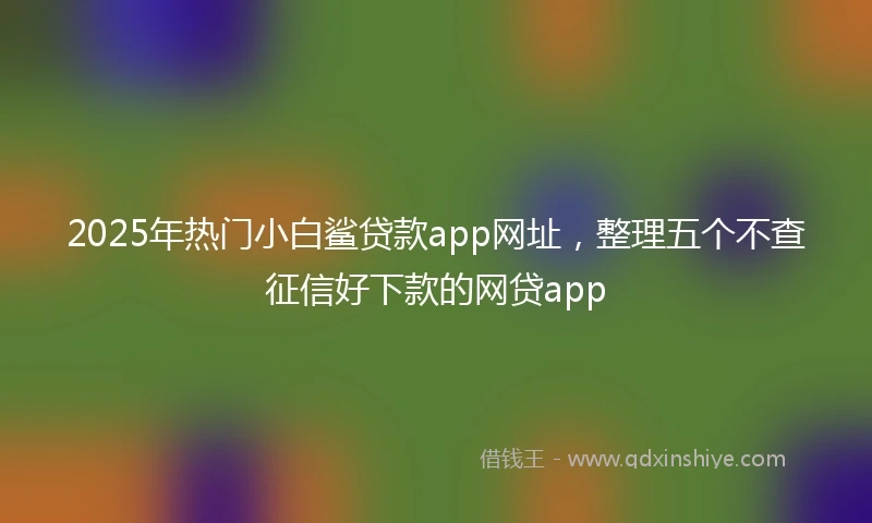 2025年热门小白鲨贷款app网址，整理五个不查征信好下款的网贷app